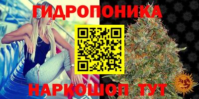 индика Бийск