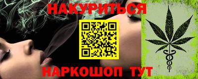 индика Бийск