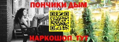 индика Бийск